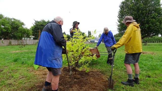 Planting the carpark